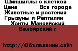 Шиншиллы с клеткой › Цена ­ 8 000 - Все города Животные и растения » Грызуны и Рептилии   . Ханты-Мансийский,Белоярский г.